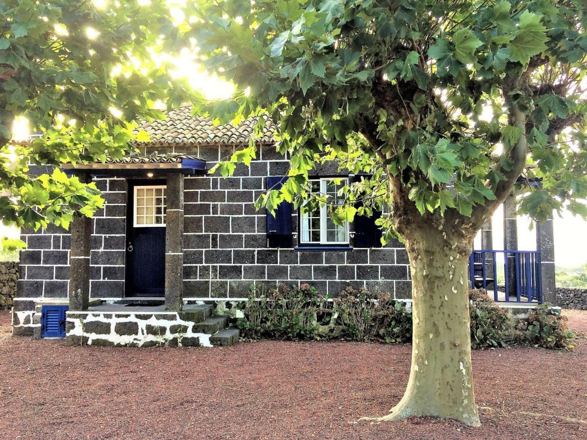 Casa Da Canada Ribeira Grande Bagian luar foto